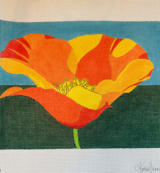 Orange Poppy 13M C-ZE992