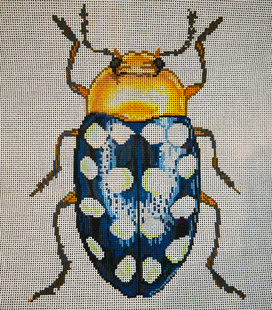 Little Bug Blue and Gold C-TMC591BB