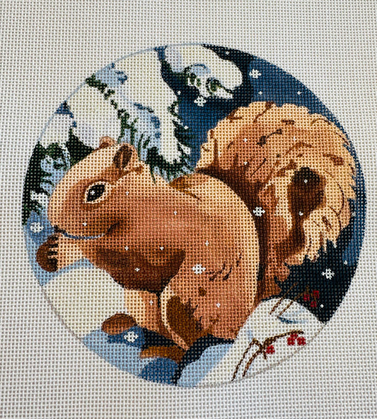 Winter Squirrel C-FDPJJO-2023