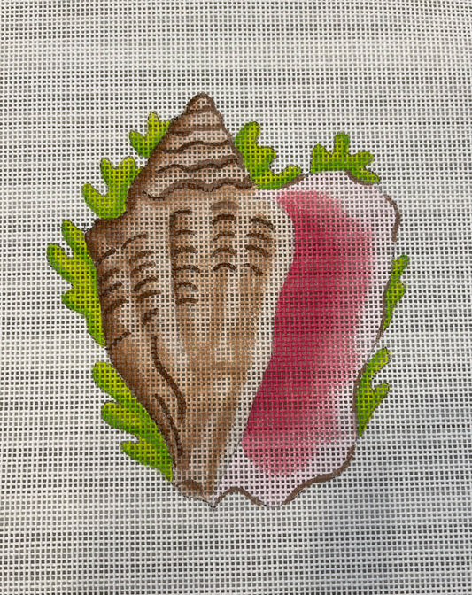 Conch Shell C-KDOM81