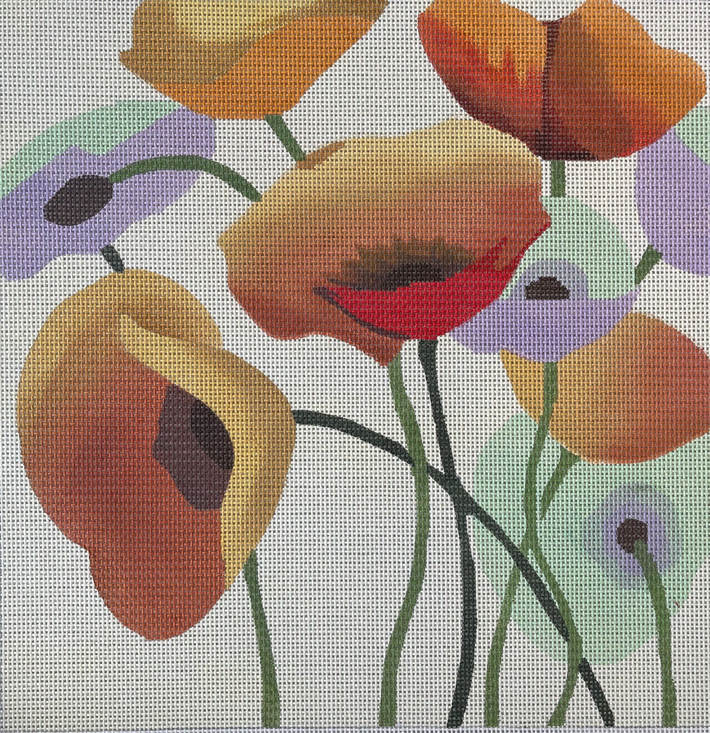 Pastel Poppies (13m) C-ASIT01613