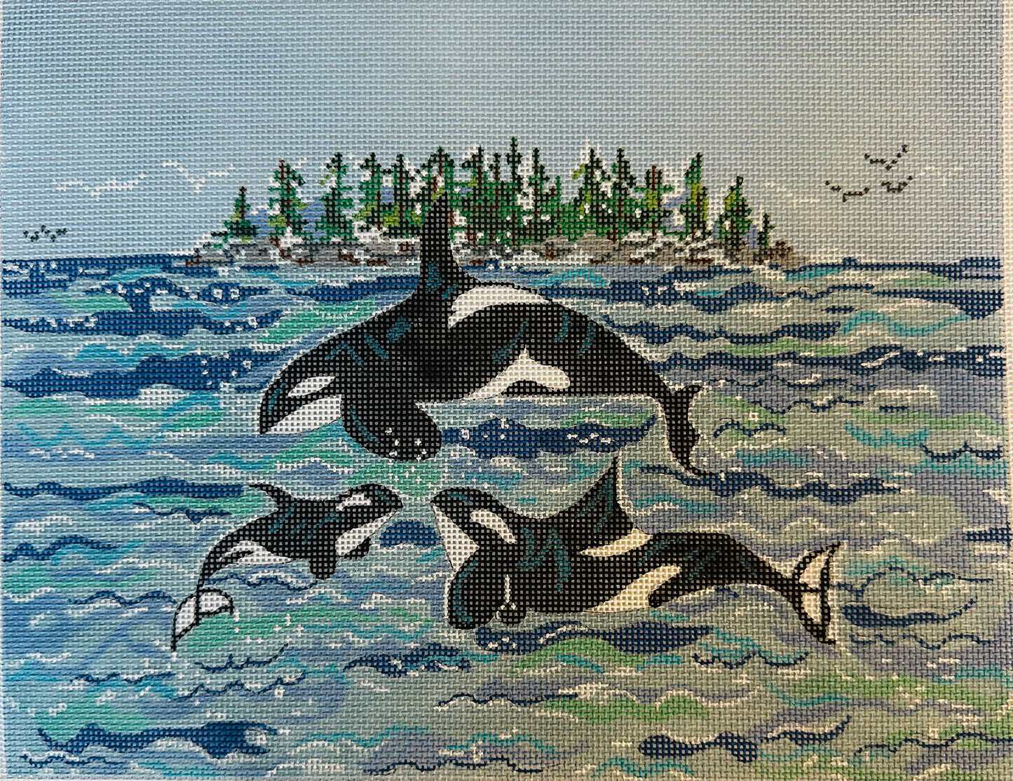 3 Orca Whales C-COSVG141