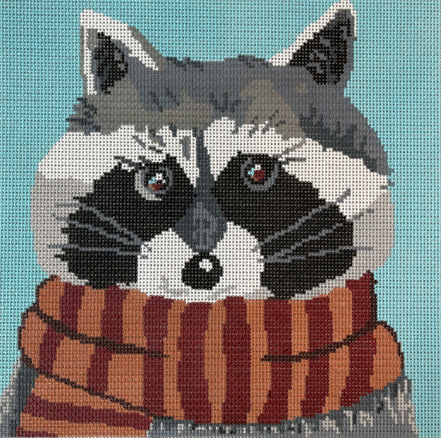Raccoon on Blue C-ASIT307