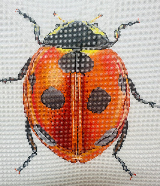 Little Bug Lady Bug C-TMC591AA
