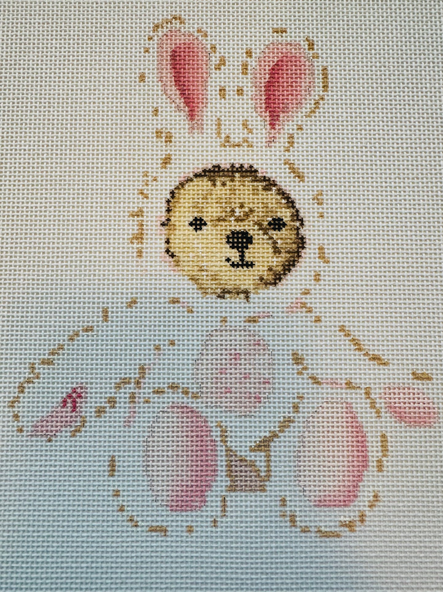 Teddy Bear in Pink Bunny Suit C-BPC25381