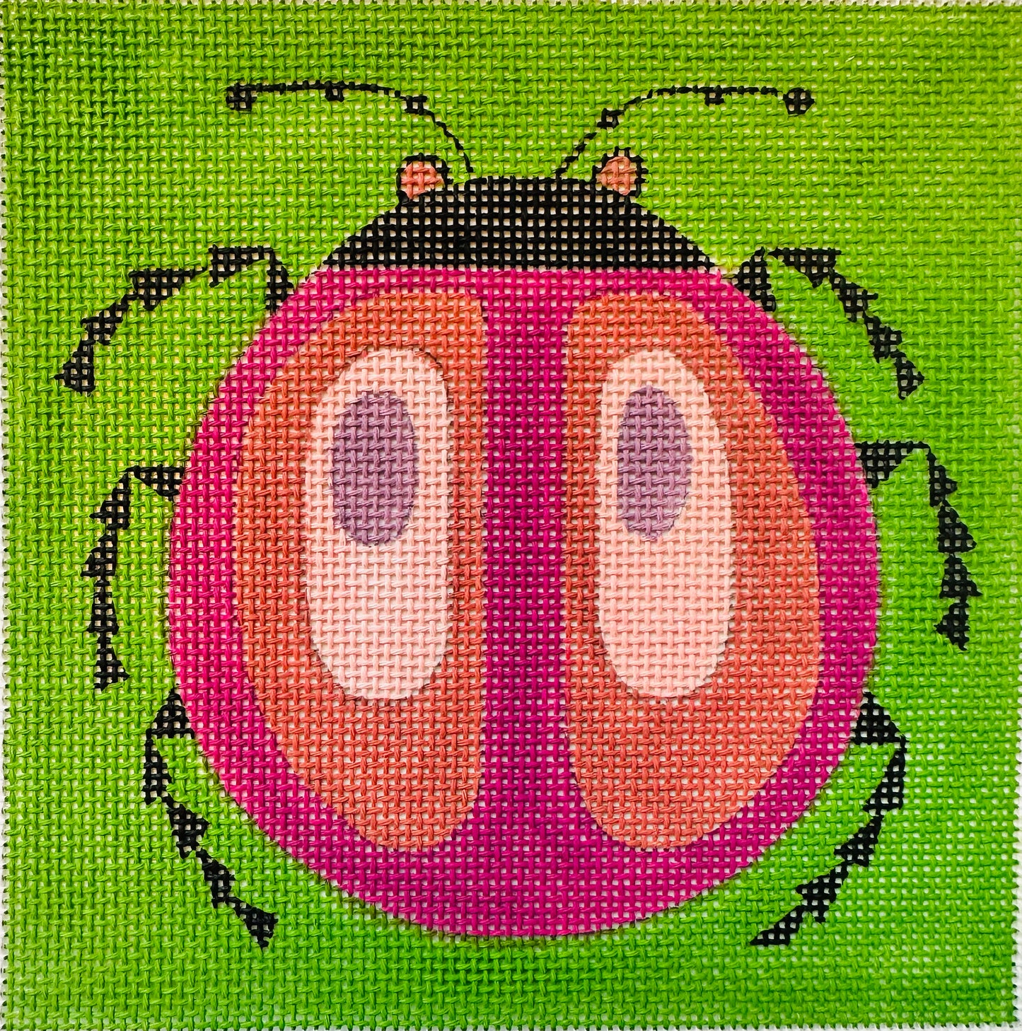 Pink Ladybug C-ZE034