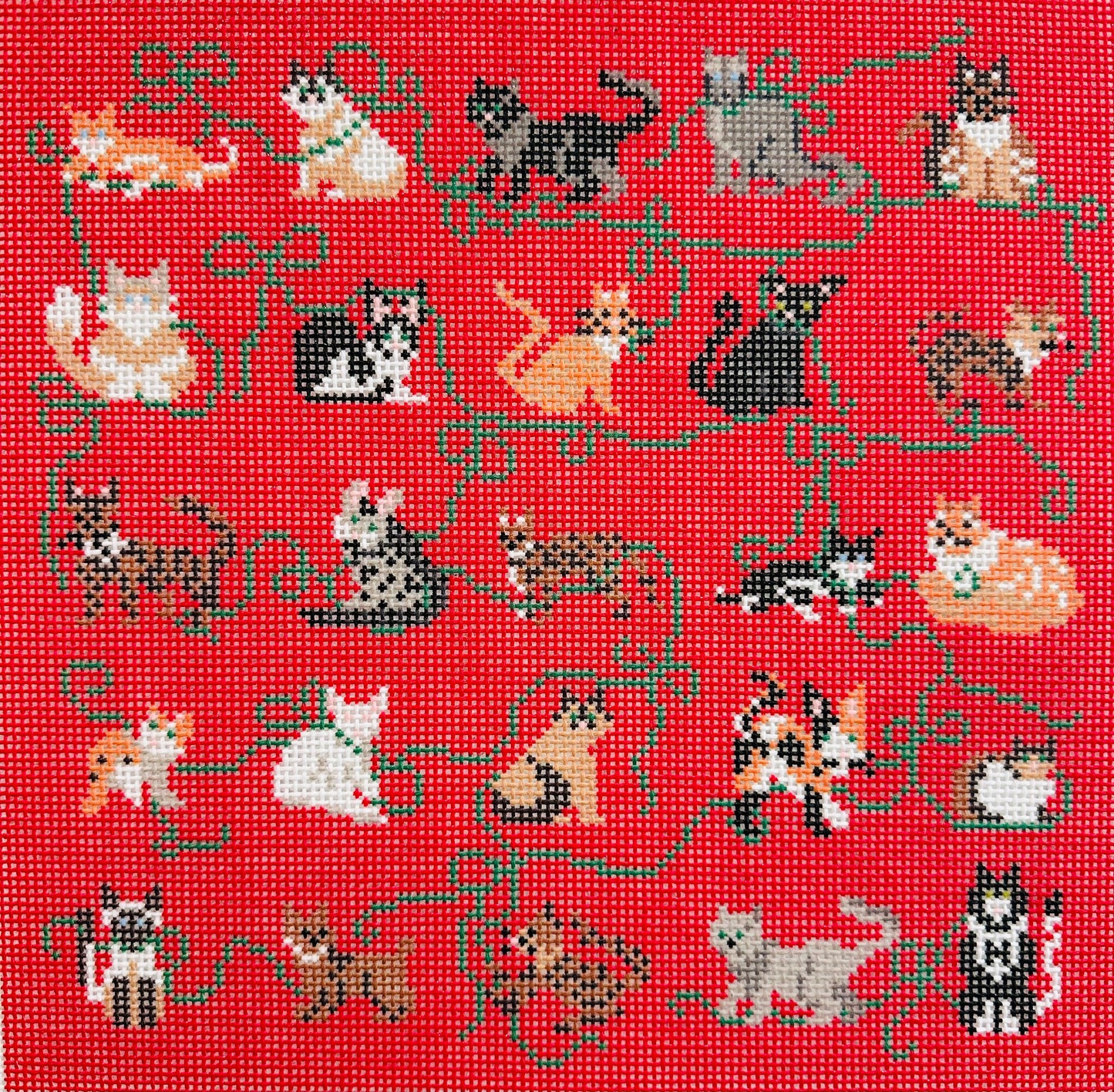 Holiday Cats C-KCD4669