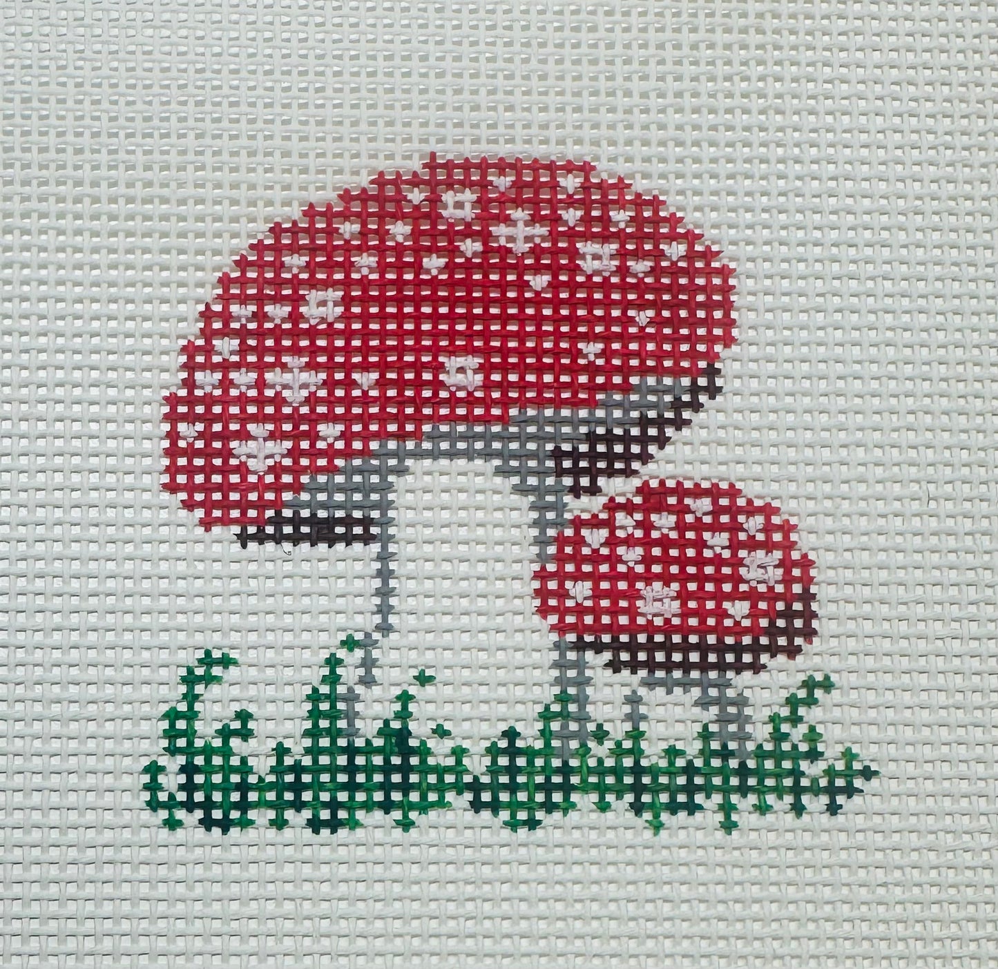 Red Mushrooms C-TGM559