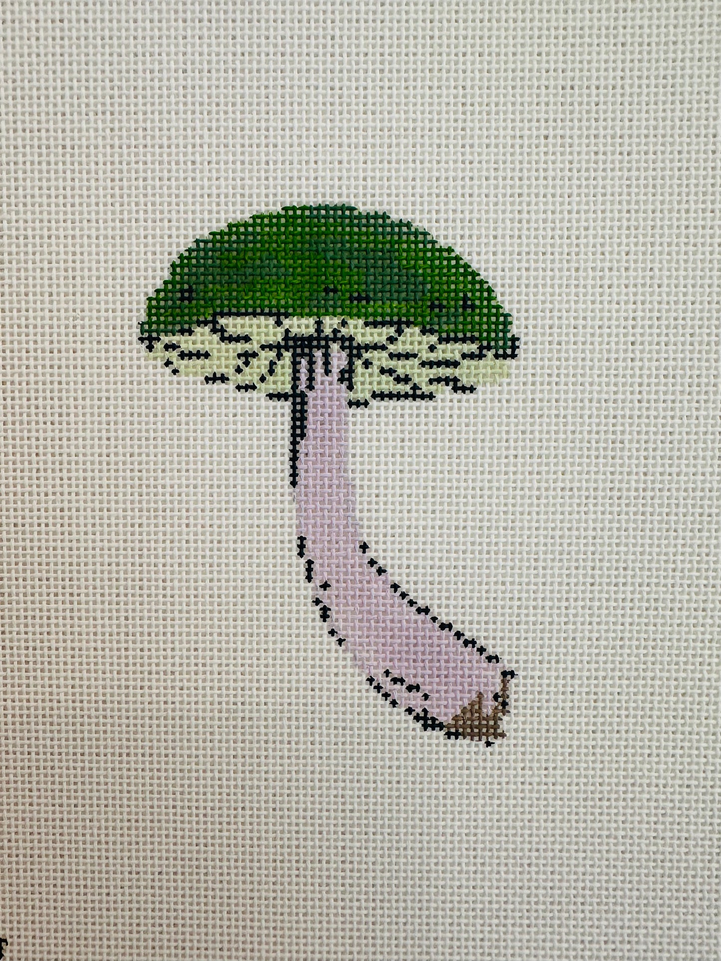 Forest Green Mushroom TS-LBL-1E