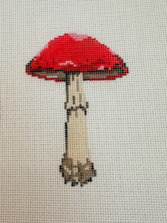 Redcap Mushroom TS-LBL-1A