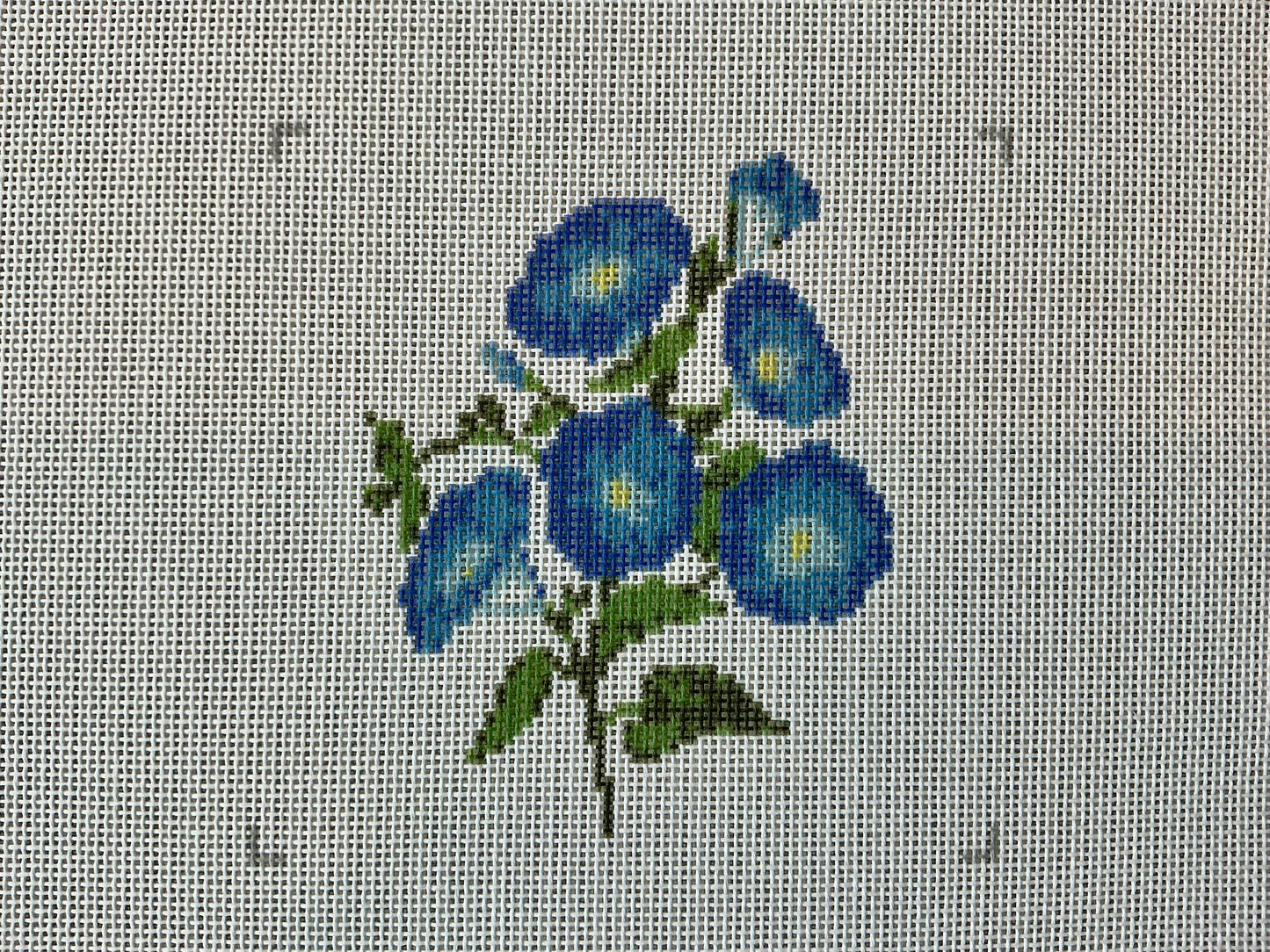 Blue Flowers C-KCD2985