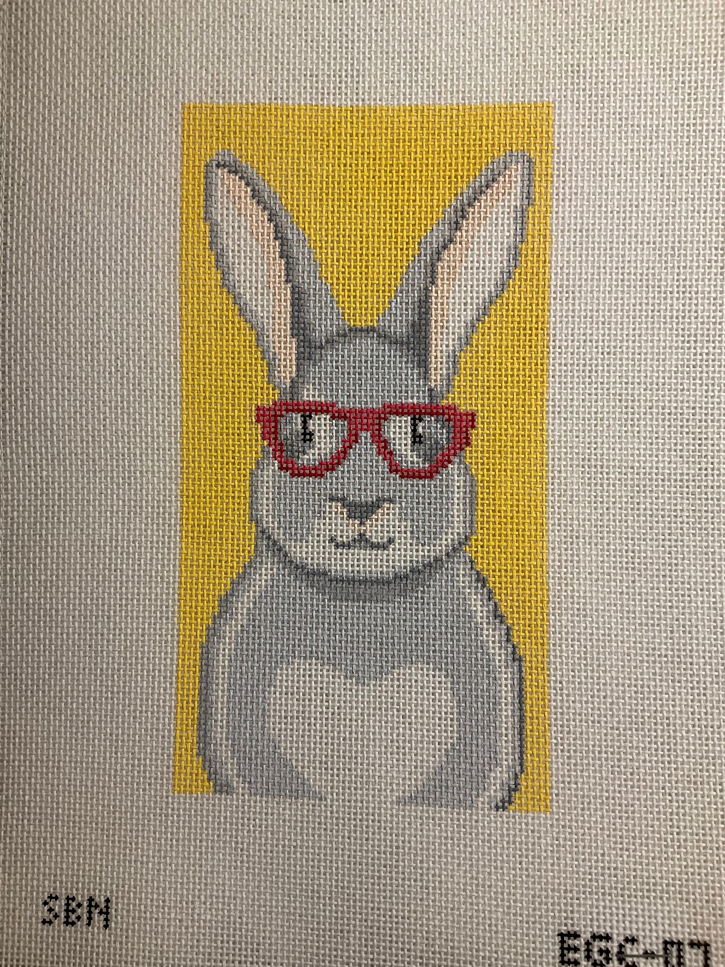 Bunny with Glasses Eye Glass Case C-SBNEGC07
