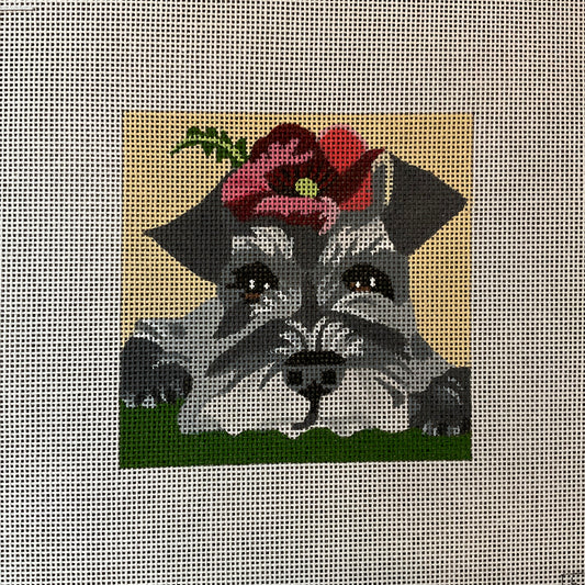 Schnauzer with Flowers C-MPD23