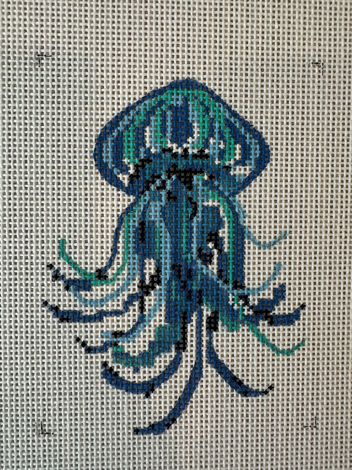Blue Jelly Fish C-KCN95818