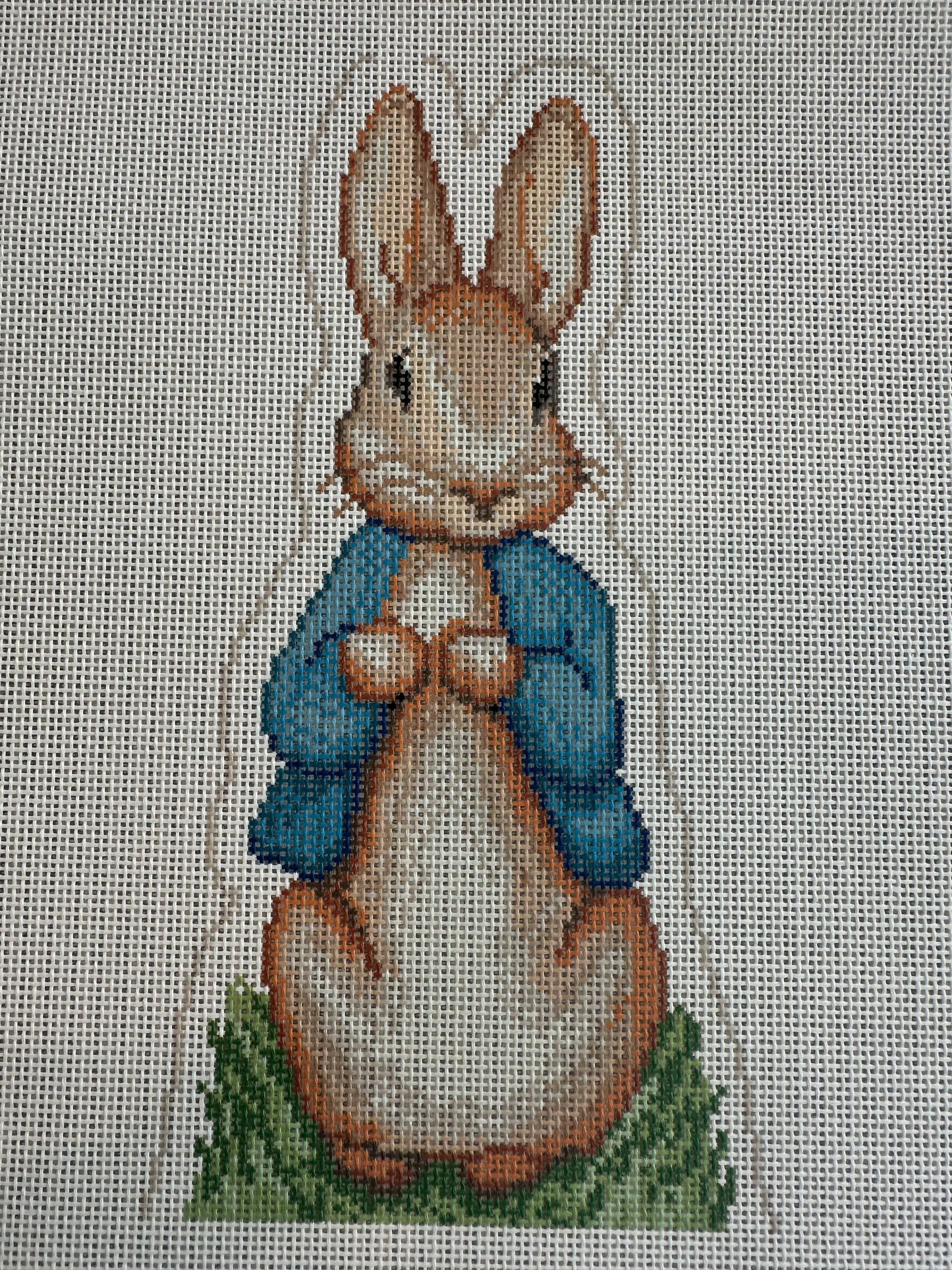 Peter Rabbit 18M C-NP74802