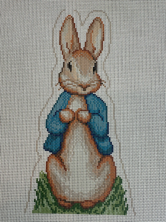 Peter Rabbit 18M C-NP74802