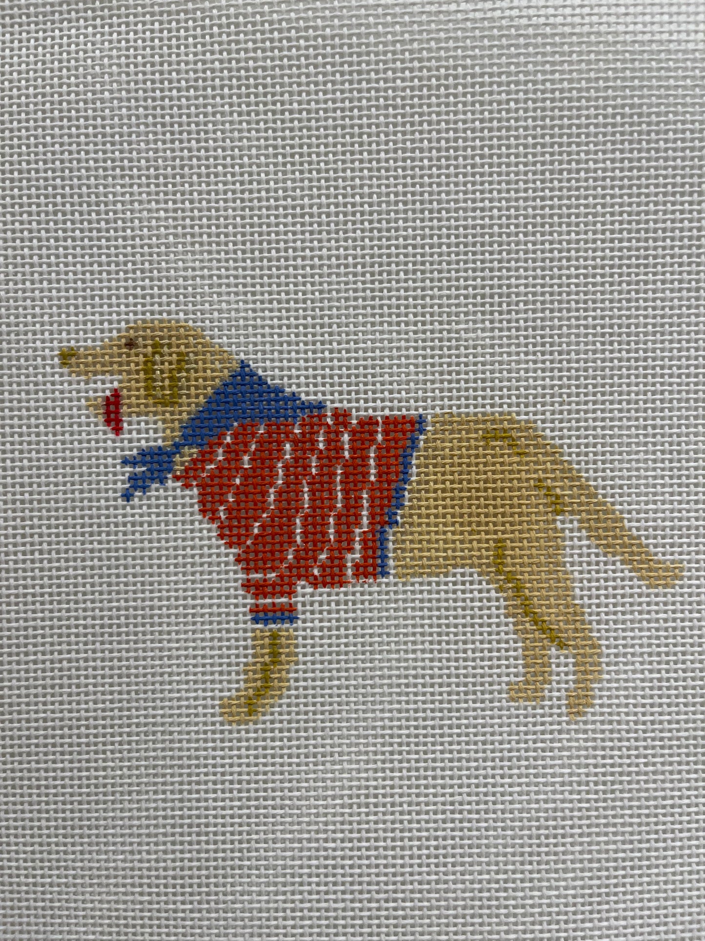 Yellow Dog with Sweater C-JTD283