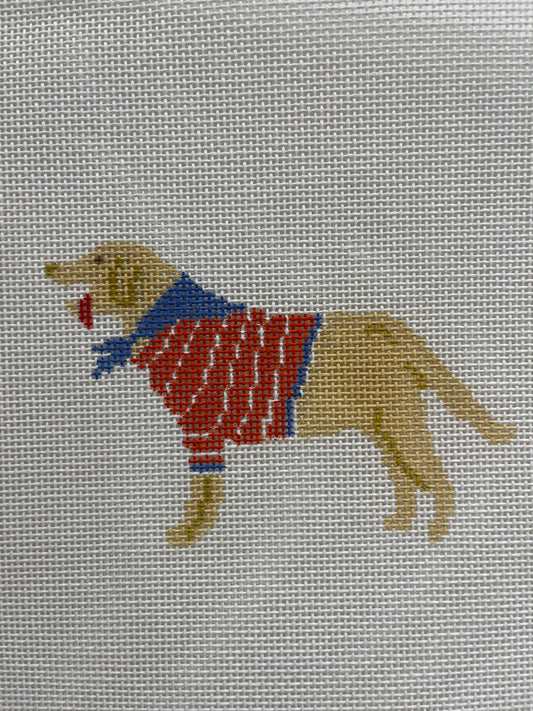 Yellow Dog with Sweater C-JTD283