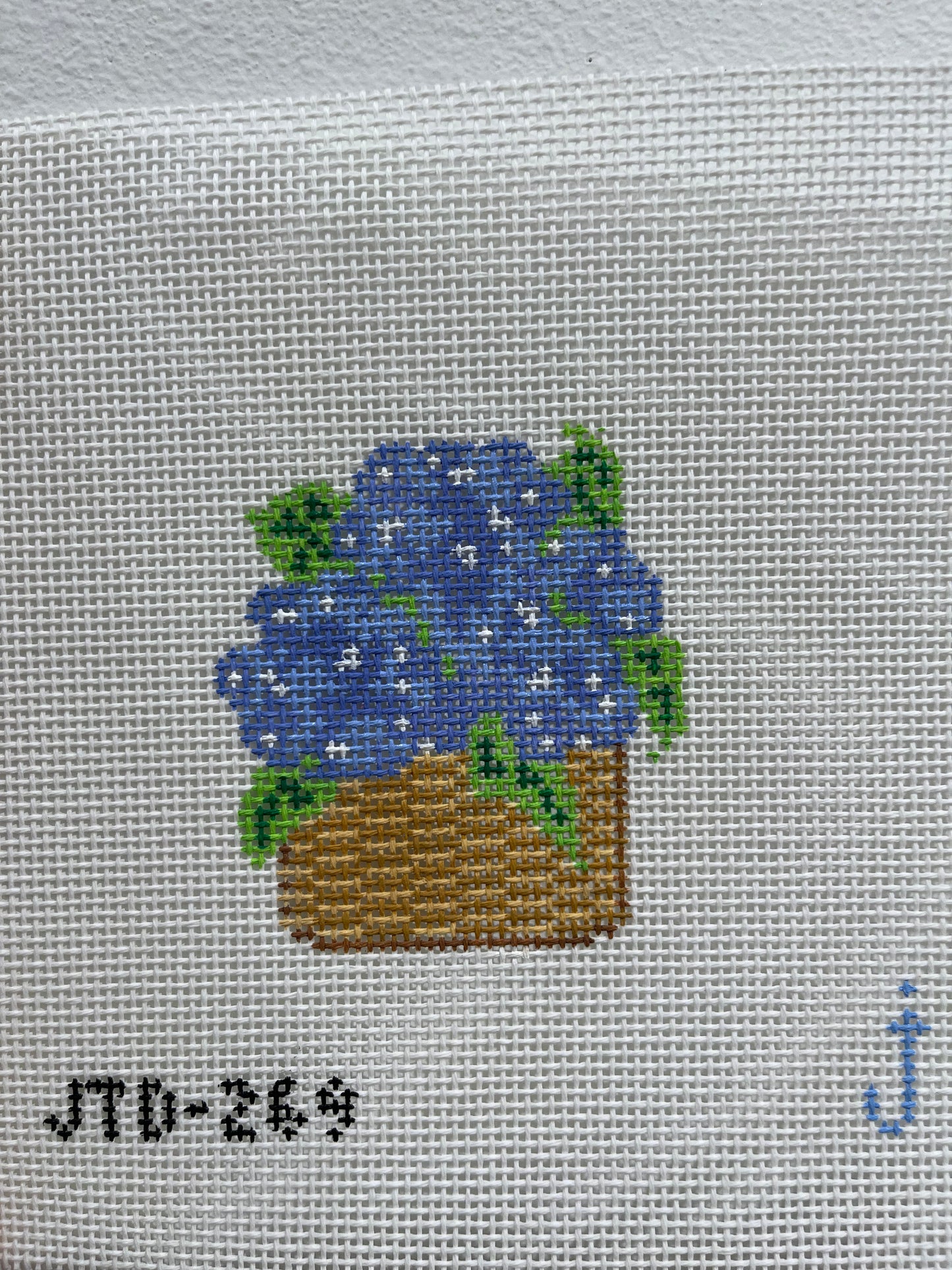 Hydrangeas C-JTD269
