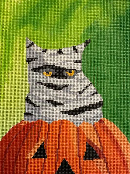 Mummy Cat on Pumpkin C-SC-PL68