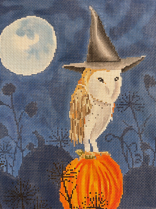 Owl on Pumpkin C-SC-PL52