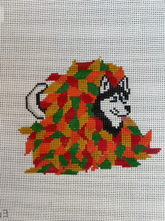 Siberian Husky in Fall Leaves C-FD263