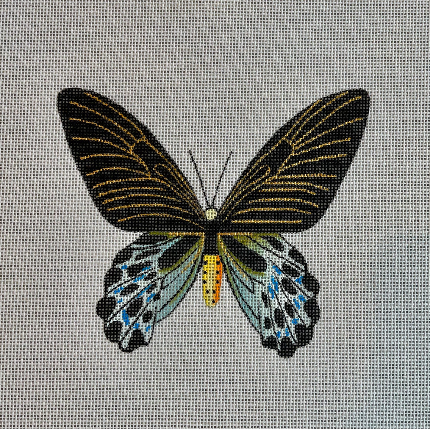 Black Butterfly C-AN446