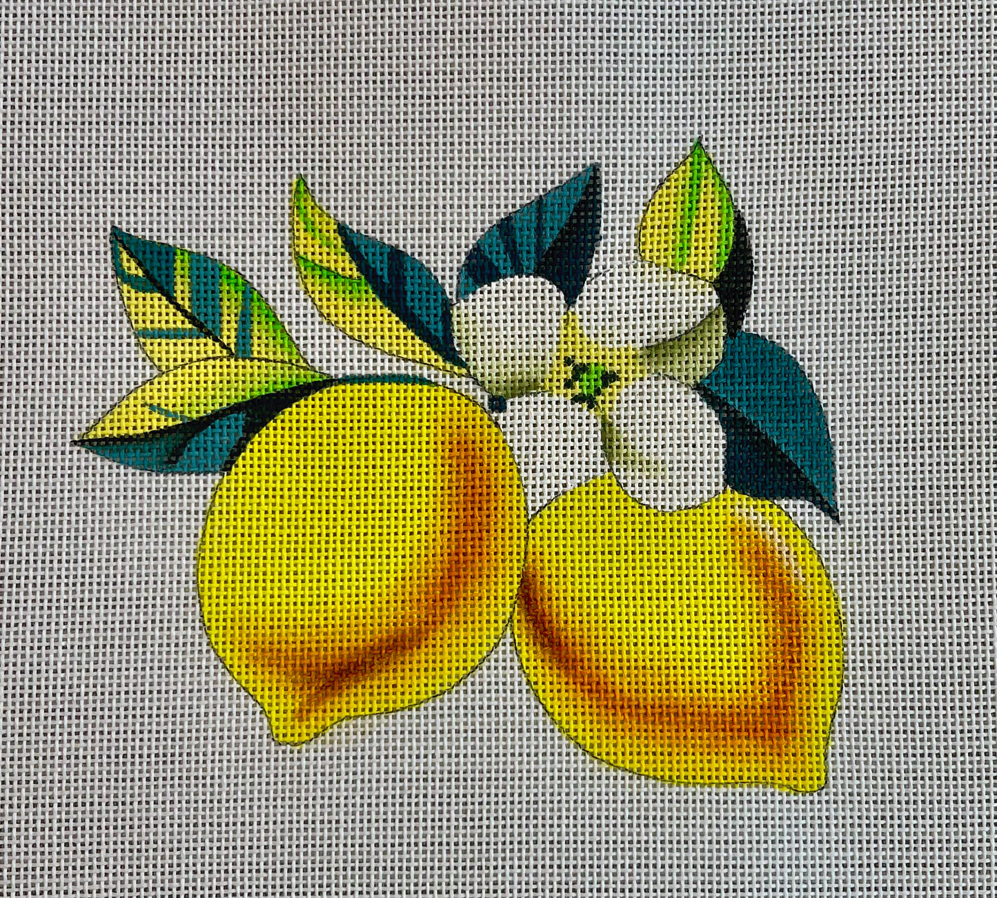 Lemons C-IN711