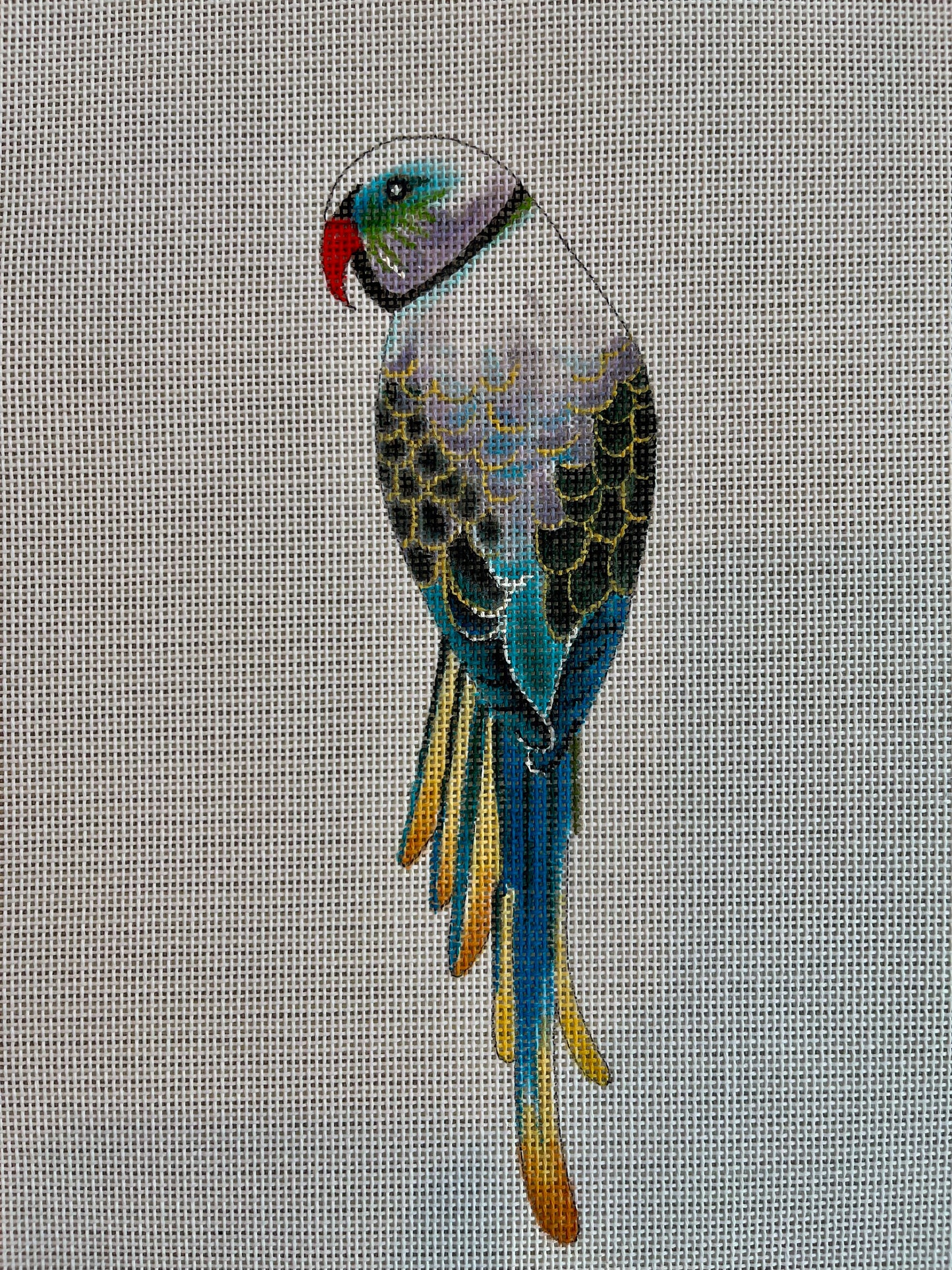 Parakeet C-AN551