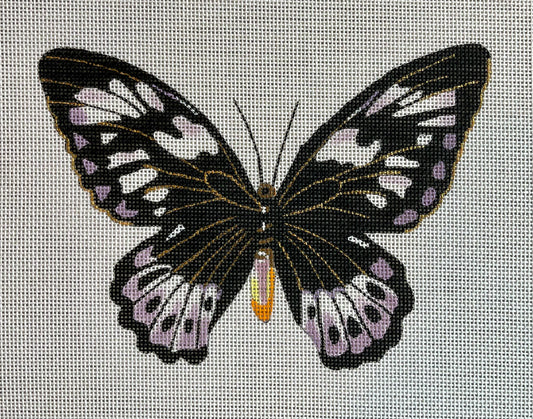 Black and Purple Butterfly C-AN448