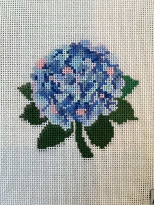 Hydrangea Blue C-AGhydrangea