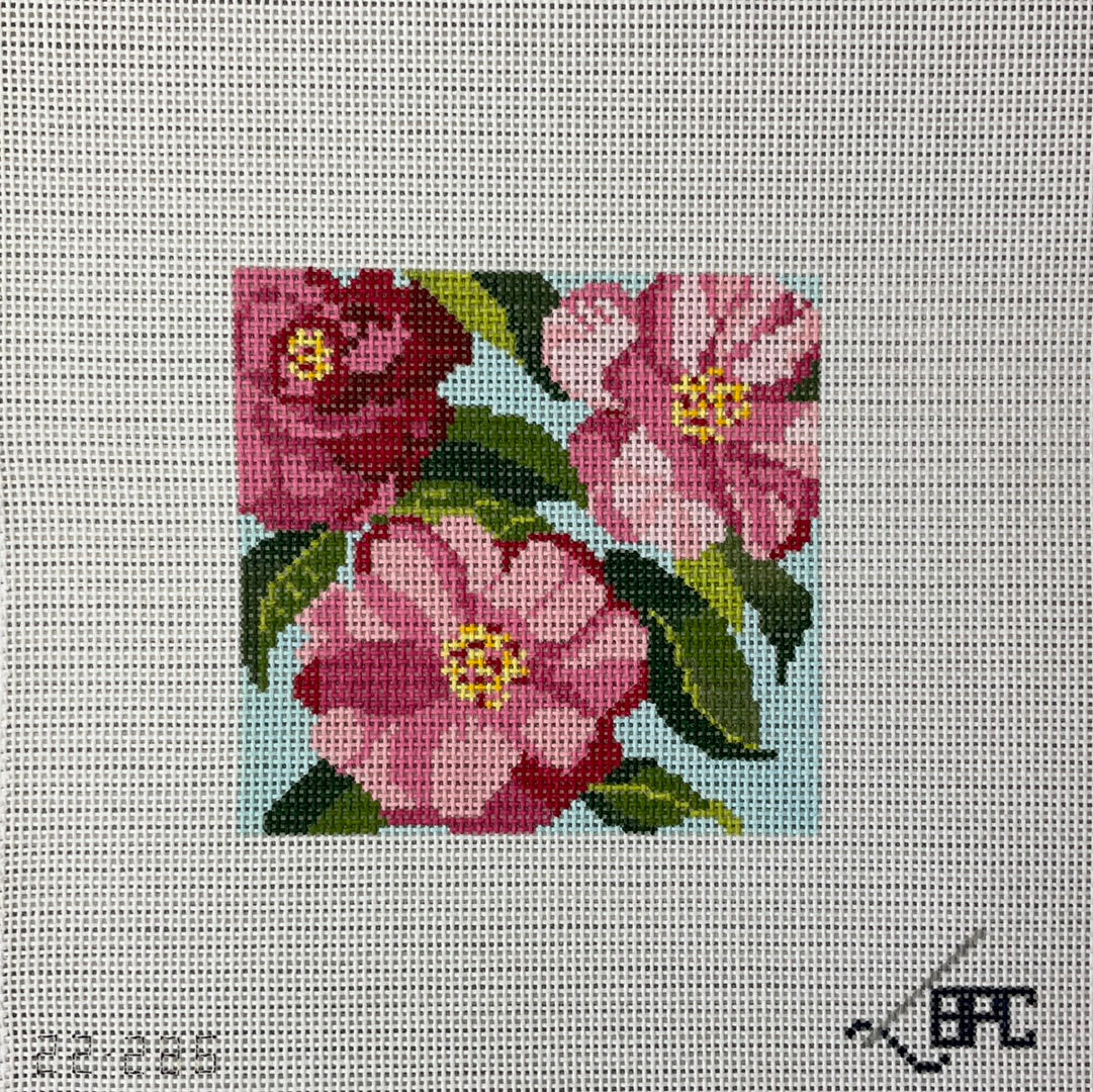 Camellia C- BPC22-225